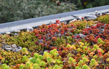 the cost of Kinbeachie green roof installation