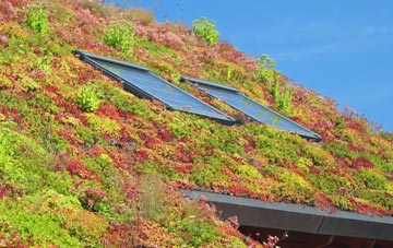 Kinbeachie living roof systems