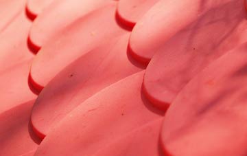 Kinbeachie plastic roof costs